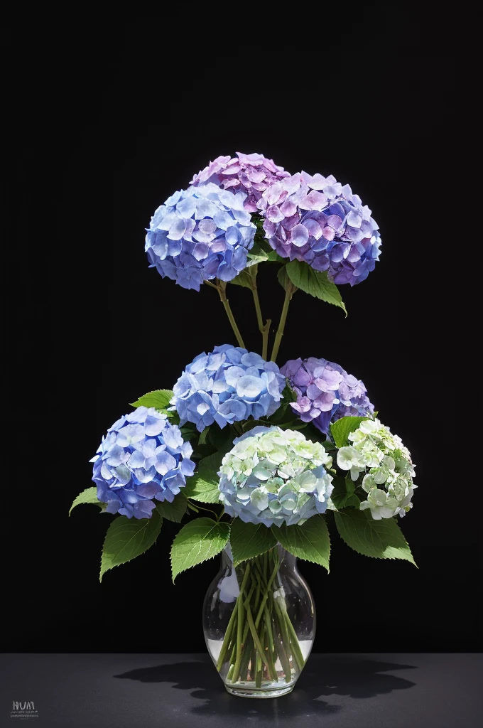 A bouquet of hydrangeas on a black background with bright dots around