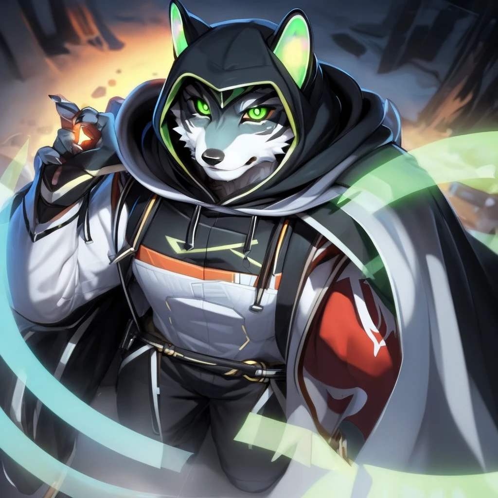 monomasa, furry, male, solo focus, wolf, tail, by kiyosan, by yupa, by Pino Daeni, (by null-ghost:0.8), (by drks:0.2), white hooded coat, hood up, pants, detailed eyes, black pupils, green eyes, red sclera, (yellow eyeshadow:0.8),  night, high-angle view, close-up, 