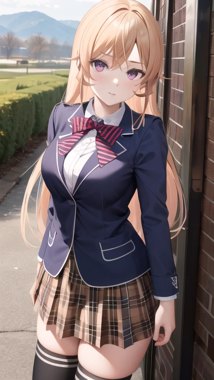 masterpiece, best quality, highres, aaerina, long hair, red bow, striped bow, blazer, blue jacket, long sleeves, plaid skirt, brown skirt, black thighhighs, outdoors, cowboy shot, standing, looking at viewer,
