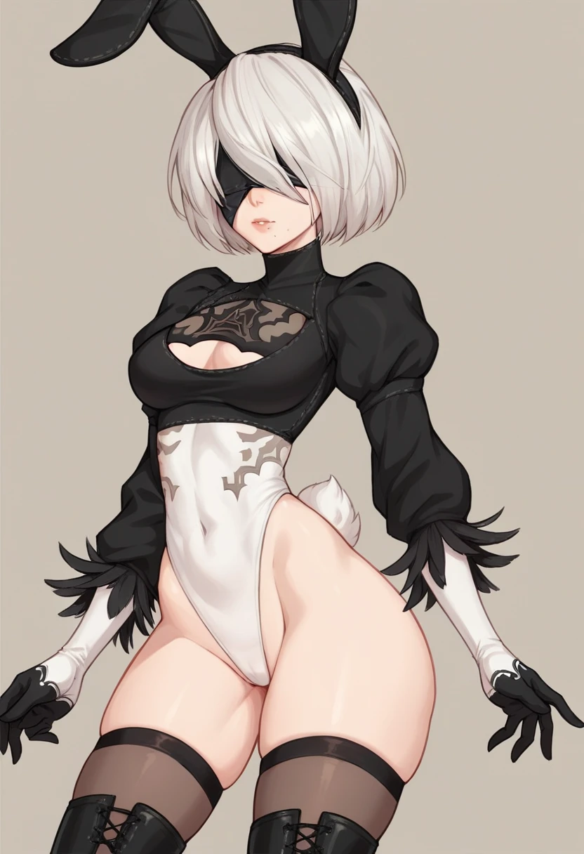 2b (‎YoRHa No.2 Type B) nier: bunny black