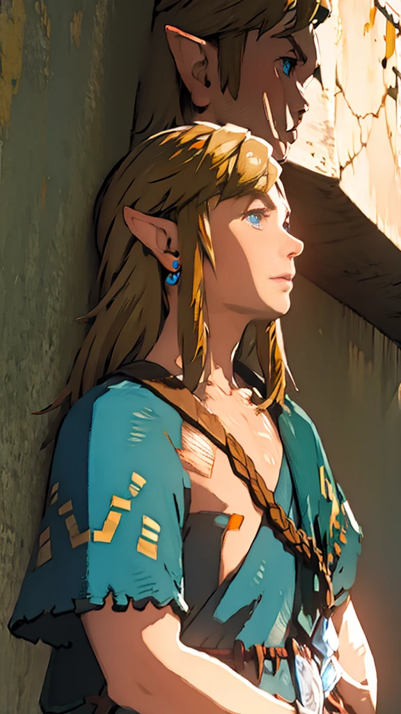 botw、profile、Link、Upper Body、look up、Plainale、Blue Costume、Masterpiece、Highest quality、male
