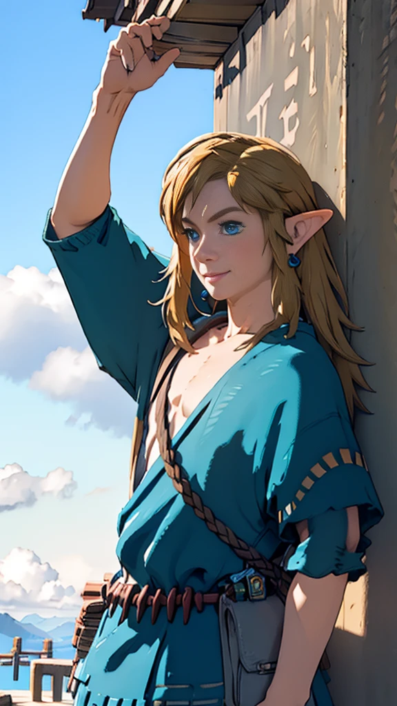 botw、Link、Subjective、looking at the camera、sky diving、male、Light blue hoodie、Masterpiece、Highest quality、male体型、Flowing Hair、smile、Simple Background、