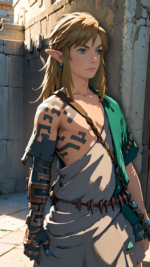 Fully equipped、Link、Subjective、looking at the camera、Hyrule Field、male、Masterpiece、Highest quality、male体型、Flowing Hair、Run、Have a master sword
