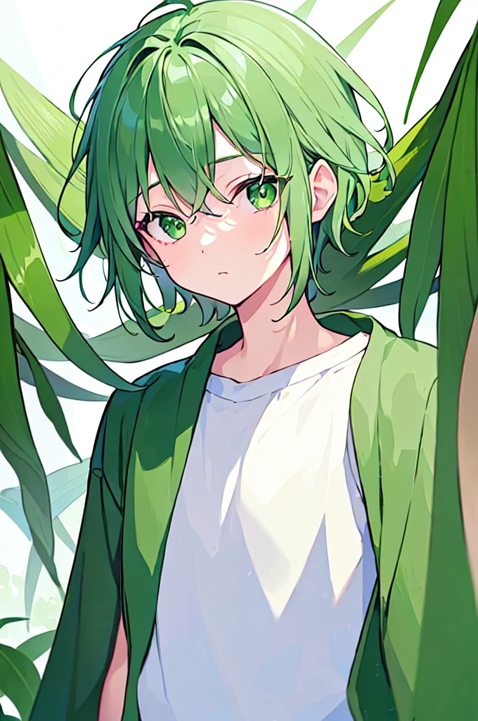 [(WHITE BACKGROUND:1.5),::5], ((((masterpiece)))), high quality, very_high_resolution, large_filesize, full color, ((Solo)), ((little boy)), 13 old year, men's short DeepGreen hair, vivid color, ((Green eye)), Summer clothes white, animestyle,