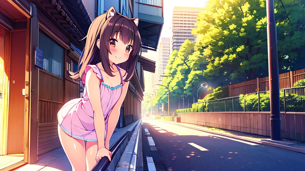 Tanuki girl,  Tanuki, kawaii, On the streets of Tokyo, sunset, Sun rays, magical lighting, Akihabara, in cute short dress, undies visible, visible panties, smiling, blush, shy pose, kawaii traje, beautiful hair, looking away short skirt lifted show panties NSFW legs open