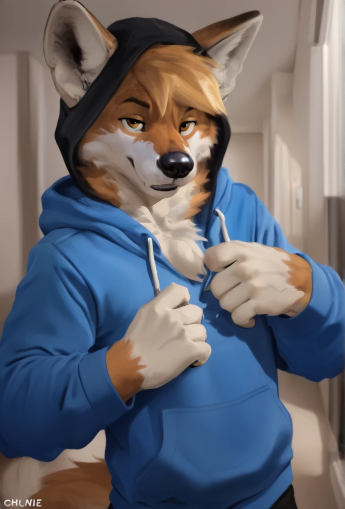 arafed wolf wearing a blue hoodie and a black hat, in a hoodie, thick furry neck and chest fluff, commission for high res, wearing a hoody, wearing a hoodie, wearing a blue hoodie, furry wolf, furry chest, casually dressed, furry fursona, an anthro wolf, pov furry art, fursona furry art commission, dressed casually