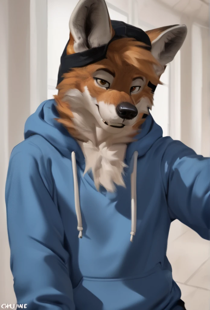 arafed wolf wearing a blue hoodie and a black hat, in a hoodie, thick furry neck and chest fluff, commission for high res, wearing a hoody, wearing a hoodie, wearing a blue hoodie, furry wolf, furry chest, casually dressed, furry fursona, an anthro wolf, pov furry art, fursona furry art commission, dressed casually