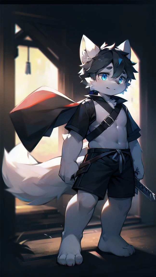 White Wolf，black hair，Sky blue eyes，hairy，Wolf ears，Wolf tail，Full body portrait，The character is in the center of the frame，Handsome，Confident eyes，male，juvenile，Black and white combat uniform，Red neck bib，Black shorts，Short sleeve，hairy arms and legs，Dark background，Dark battlefield，dawn，sunrise，dawn，illumination，shadow，Swordsman，Scabbard and sword，Hold the hilt of a sword in your hand，The scabbard is at the waist，Highest quality