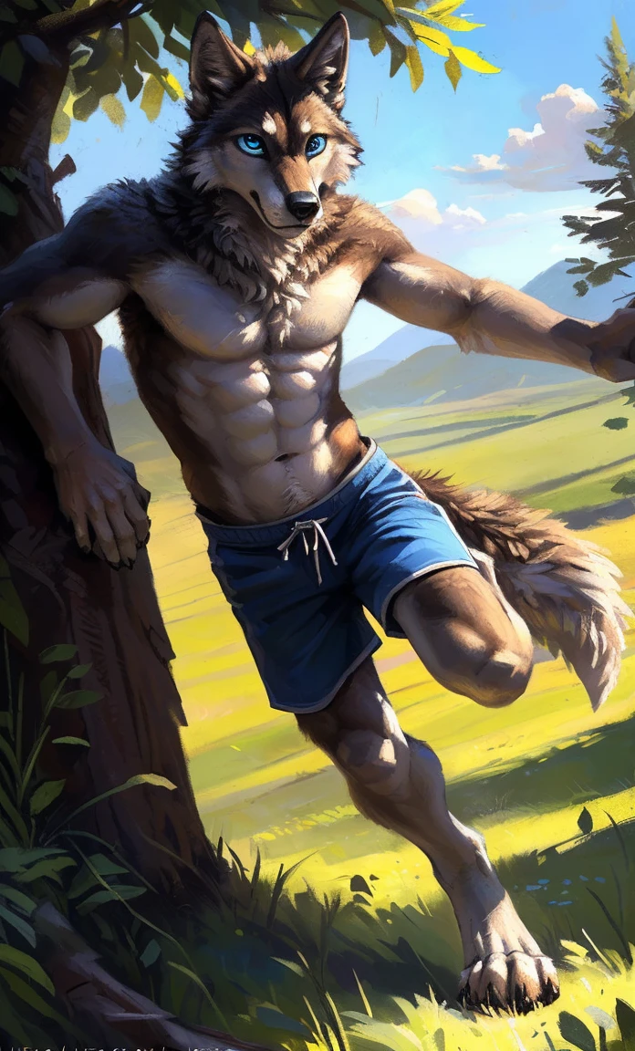 ((Solo)), male people, anthro wolf, (Multi-colored fur, White-brown:1.3,White tail pointed), (Height 2.1m,Tail length 1.2m), ((Wolf face, Big eyes, White eyelids, Blue pupil, Slim:1.2) (Tough, Calm expression:1.2)), Abs, Slim, pinging)), (Correct anatomy), (Work shorts:1.1), The upper body naked, (detailed outfits),A long big tail,Feet,(Realistic fur, Detailed fur texture, labeled:1.3)), (Natural lighting), Photorealistic, Hyperrealistic, ultradetailed, by Kenket,Field,erect through,Running on