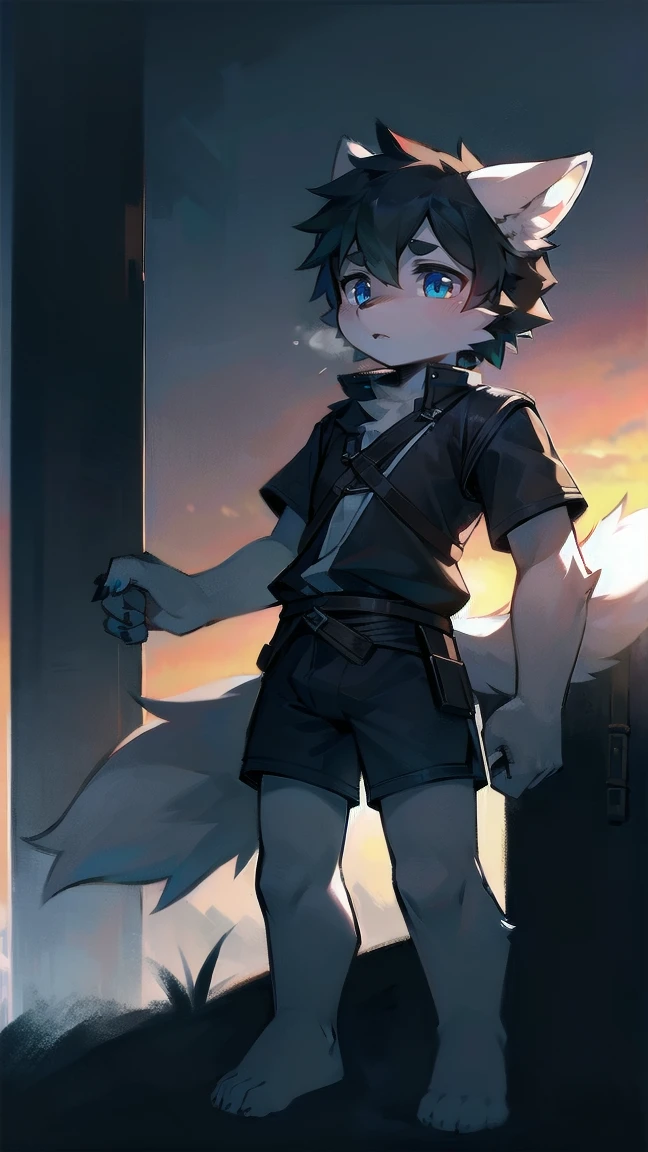 White Wolf,black hair,Sky blue eyes,hairy,Wolf ears,Wolf tail,Full body portrait,The character is in the center of the frame,Handsome,Confident eye***but,juvenile,Black and white combat uniform,Red neck bib,Black shorts,Short sleeve,hairy arms and legs,Dark background,Dark battlefield,dawn,sunrise,dawn,illumination,shadow,Swordsman,Scabbard and Hold the hilt of a in your hand,The scabbard is at the waist,Highest quality,A tall stature