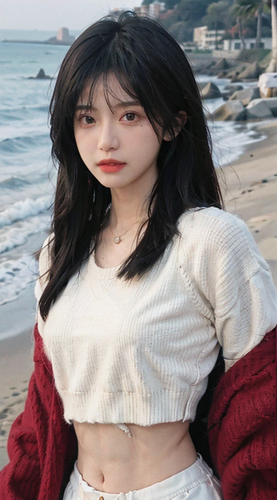 Best quality, Ultra-high resolution, (Realistically:1.4),Cute hairpin,1 Girl,Red long hair,Quartered sweater ,Beautiful slim woman:1.4, Visible abdominal muscles,on the beach,Ultra-thin face,Exquisite eyes,Double eyelids,Necklace