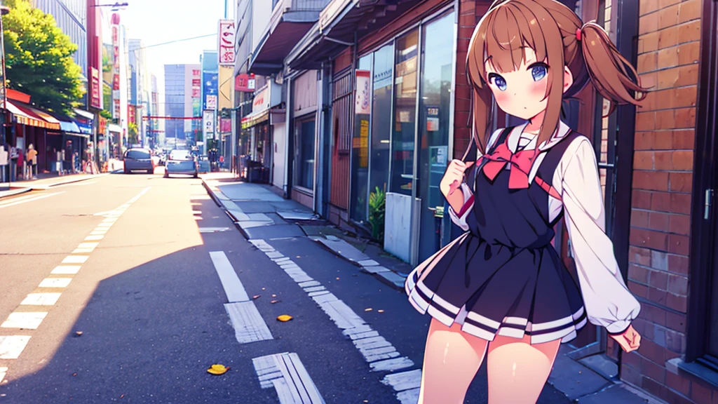 girl in short dress long stockings on the street akihabara tanuki blush on cheeks show pussy