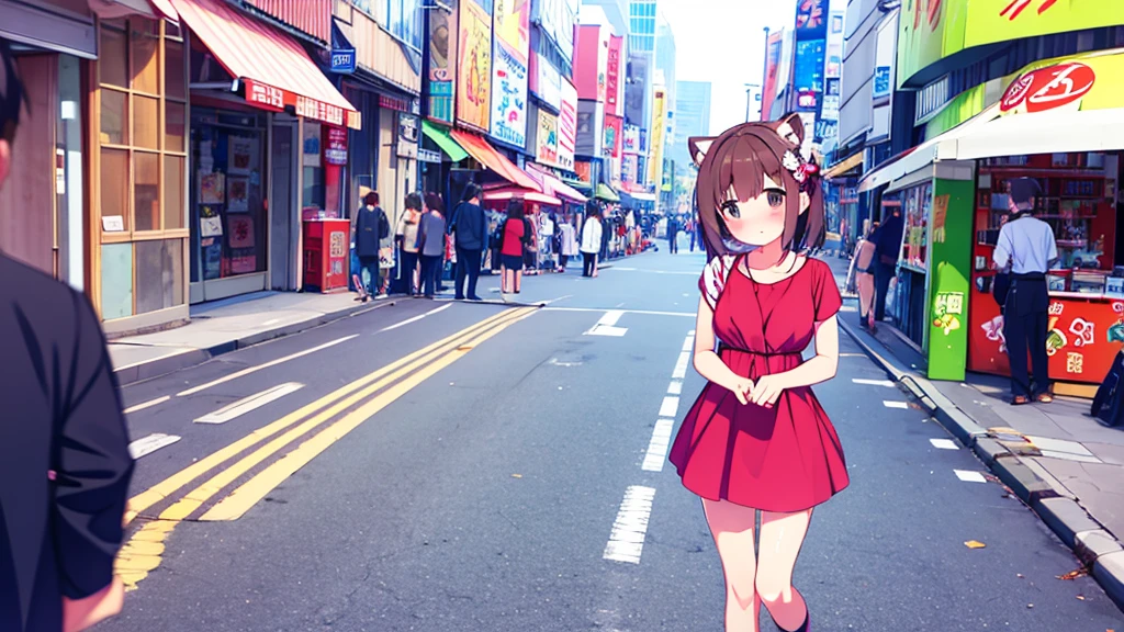 girl in short dress long stockings on the street akihabara tanuki blush on cheeks show pussy