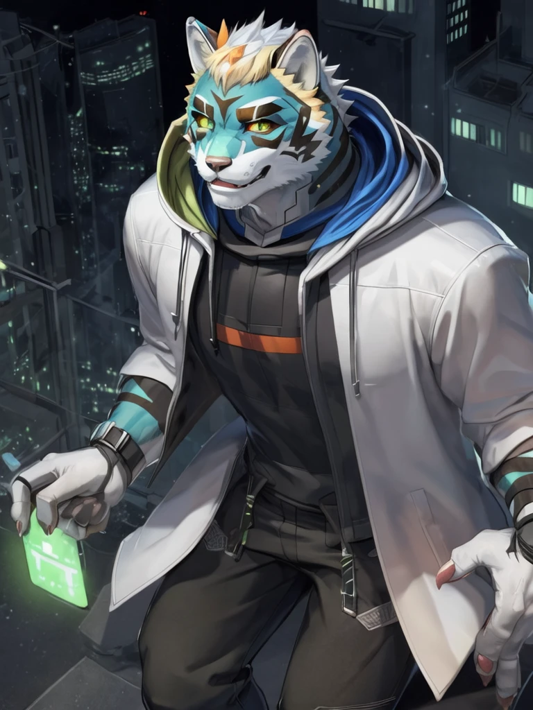 monomasa, furry, male, solo focus, wolf, tail, by kiyosan, by yupa, by Pino Daeni, (by null-ghost:0.8), (by drks:0.2), white hooded coat, hood up, pants, detailed eyes, black pupils, green eyes, red sclera, (yellow eyeshadow:0.8),  night, high-angle view, close-up, 