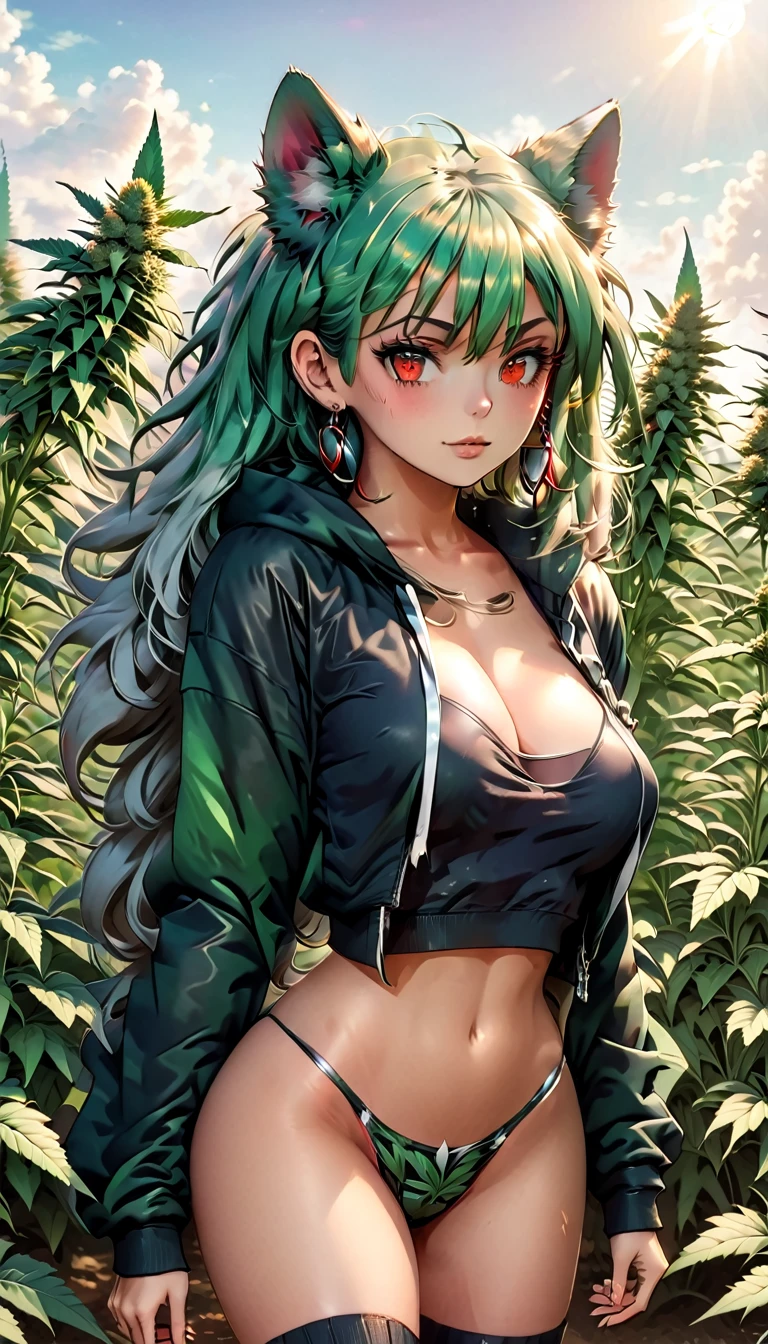   , Croped, , cleavage, slim waist, cropped hoodie underboob, cropped hoodieunderboobhoodie, 1girl, 2 wolf ears, wolf tail, marijuana crop hoodie, crop shorts, marijuana hoodie, spiky hair, spiky fur, green hair, red eyes,marijuana field, tight clothes, perfect eyes, perfect hands, clear resolution, full body, cleavage skin, marijuana plants, open hoodie, marijuana field, black thigh high socks, full body, earrings, 1girl, skirt,  cleavage, slim waist, cleavage, slim waist, hair pulled back, big breast, round butt, slim waist, best quality, thick thighs, D-cup breast, 