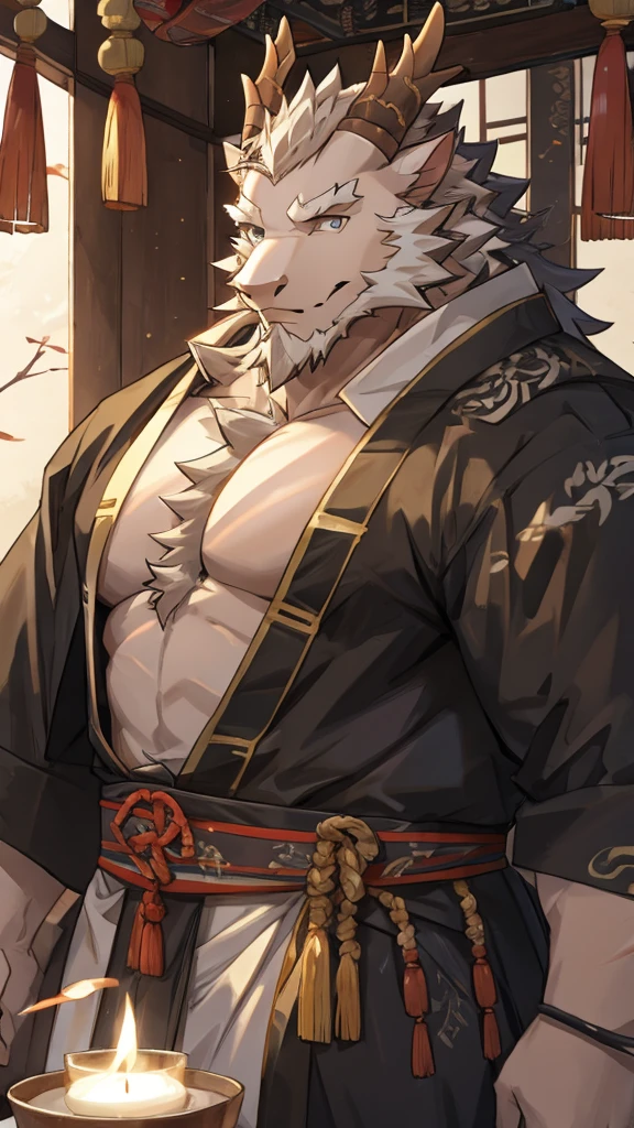 (white eastern dragon),furry,white mustache,big pecs,hearty males,muscular,black imperial robe,naked,adult,traditional_chinese_room,head portrait,scar,blood