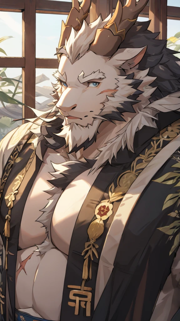 (white eastern dragon),furry,white mustache,big pecs,hearty males,muscular,black imperial robe,naked,adult,traditional_chinese_room,head portrait,scar,blood