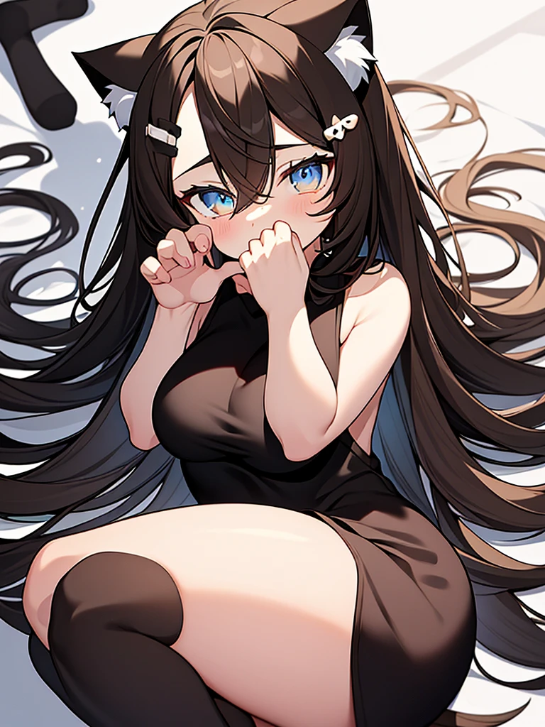 Perfect body, perfect face, perfect eyes, perfect hands, perfect legs, 1cat girl, cat ears, cat tail, long brown hair with black highlights, brown hair covering one eye, white snowflake hair clip, brown eyes, smiley face, black and white dress, long white cat socks, black shoes, big breasts, big ass, room background