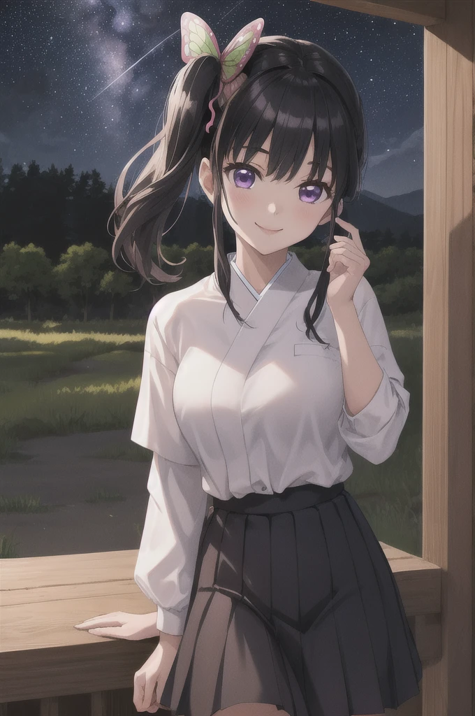 (masterpiece:1.3), (best quality:1.1), (8k, ultra detailed, ultra high res:1.2), ((anime style)), perfect 5 fingers, perfect anatomy,
1girl,
Kanao Tsuyuri,
BREAK long hair, side ponytail,
black hair,
purple eyes,
butterfly hair ornament,
(medium breasts:0.9),
BREAK purple shirt, pleated skirt, long sleeves white haori,
smile,
looking at viewer,
cowboy shot,
perfect light,
outdoors, forest, field, (night time, night sky, starry sky:1.2),