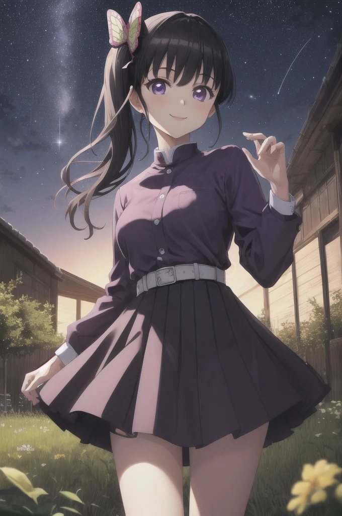 (masterpiece:1.3), (best quality:1.1), (8k, ultra detailed, ultra high res:1.2), ((anime style)), perfect 5 fingers, perfect anatomy,
1girl,
Kanao Tsuyuri,
BREAK long hair, side ponytail,
black hair,
purple eyes,
butterfly hair ornament,
(medium breasts:0.9),
BREAK (purple shirt:1,2), pleated purple skirt, long sleeves,
smile,
looking at viewer,
cowboy shot,
perfect light,
outdoors, forest, field, (night time, night sky, starry sky:1.2),