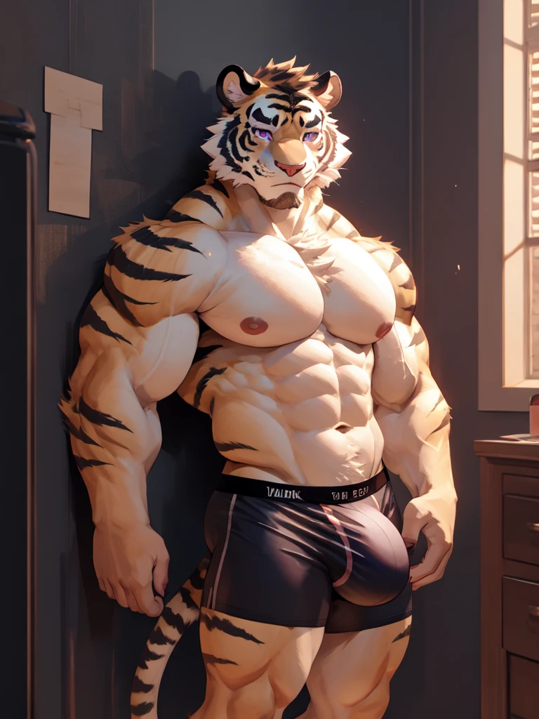 bara white tiger furry leaning on wall wearing only tight purple colored boxer briefs, tall, massive pecs, broad shoulders, sultry gaze, purple eyes, smirking at camera seductively, one hand near his cock, looking at viewer, huge bulge, bedroom, sunlight casting over,Bara, Furry, dynamic shading