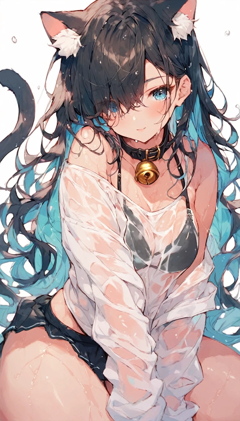 score_9,score_8,score_7,score_8_up,score_7_up cartoon character with long hair and short skirt, 1 girl, animal ears, cat ears, chest, solo, swimsuit, tail, cat tail, bikini, bell, blue eyes, multicolored hair, shirt, black bikini, white shirt, look at the viewer, striped hair, hair above one eye, collar, wet, see-through, neck bell, long hair, white background, cutting, simple background, girl, off shoulder, bare shoulders,