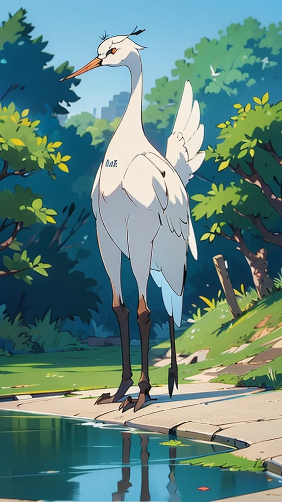  A white crane standing near a river