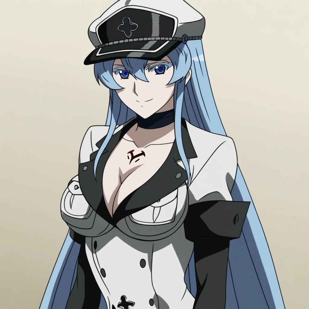 esdeath,
esdeath, blue eyes, blue hair, long hair, smile, eyelashes,
boots, choker, cleavage, collarbone, hat, bikini,
looking at viewer, dutch angle, cowboy shot,