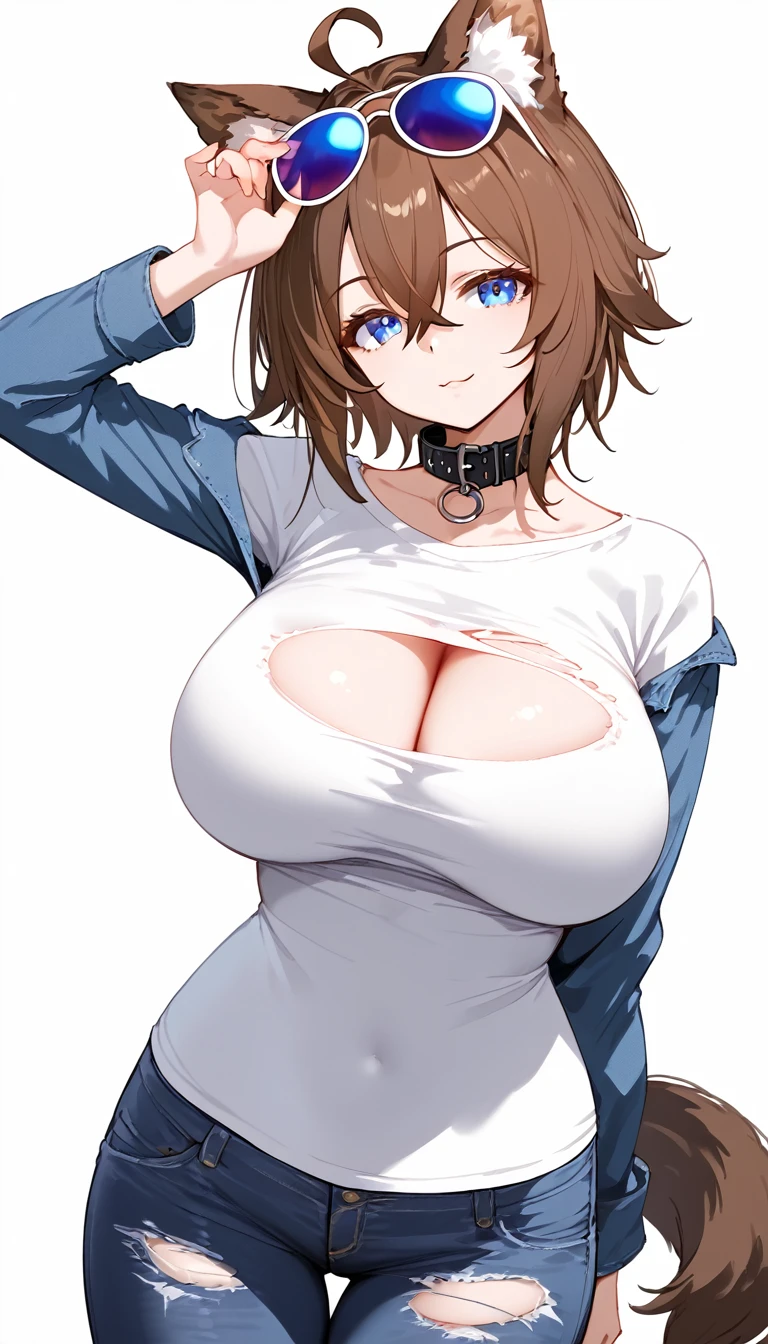 there was a woman that was wearing a shirt and glasses with her ears popped out, 1girl, pants, animal ears, breasts, solo, tail, shirt, blue eyes, brown hair, large breasts, white shirt, eyewear on head, denim, short hair, white background, collar, looking at viewer, simple background, hair between eyes, sunglasses, animal ear fluff, dog ears, long sleeves, torn clothes, arm behind back, ahoge, jeans