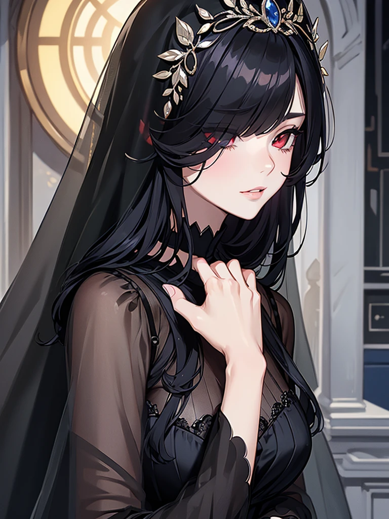 (Super detailed:1.3), ((((best quality)))), ((masterpiece)), female focus, solo,hotify, stunning beauty, powerful glow, detailed face, detailed eyes, detailed lips,castle interior background,(nighttime),moonlight,((black hair)),long hair, black mourning dress,((mourning veil)),red eyes, (pale skin:1.2),melancholic expression,straight bangs,bangs covering forehead,almond-shaped eyes,very cute face,close-up, (hair over one eye),sheer sleeves,2 arms