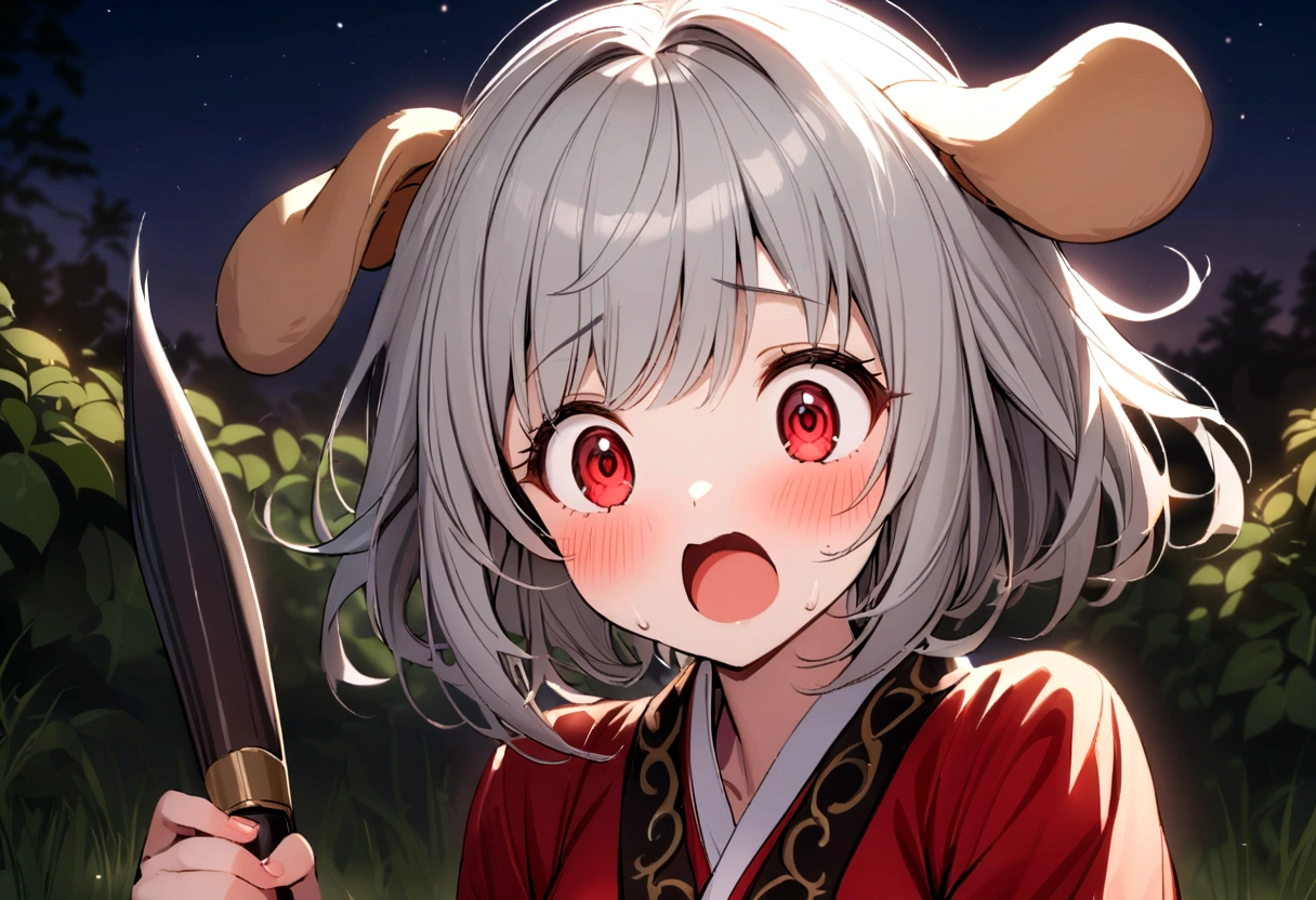 girl,cute,Small breasts,Gray Hair,Dog Ears,short hair,Red eyes,kimono,countryside,night,Surprised、Surprise、