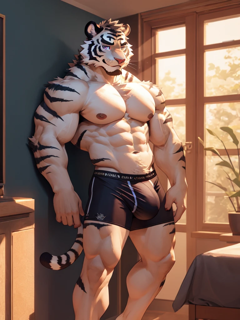 bara white tiger furry leaning on wall wearing only tight purple colored boxer briefs, tall, massive pecs, broad shoulders, sultry gaze, purple eyes, smirking at camera seductively, one hand near his cock, looking at viewer, huge bulge, bedroom, sunlight casting over,Bara, Furry, dynamic shading