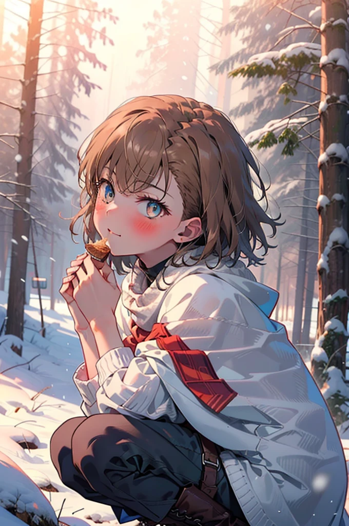 Mycotrose, Brown eyes,Brown Hair,short hair,smile,blush,White Breath,
Open your mouth,snow,Ground bonfire, Outdoor, boots, snowing, From the side, wood, suitcase, Cape, Blurred, Increase your meals, forest, White handbag, nature, Squat, Mouth closed, フードed Cape, winter, Written boundary depth, Black shoes, red Cape break looking at viewer, Upper Body, whole body, break Outdoor, forest, nature, break (masterpiece:1.2), Highest quality, High resolution, unity 8k wallpaper, (shape:0.8), (Beautiful and beautiful eyes:1.6), Highly detailed face, Perfect lighting, Extremely detailed CG, (Perfect hands, Perfect Anatomy),