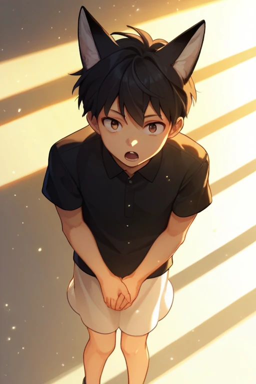 score_9, score_8, One boy, 丸face,Black Hair, short hair, Fox Ears,  Open your mouth, 笑face, Black polo shirt, Sundress, From above, Straight, face, Place your hands between your legs,  View your viewers, Particles of light, Sunbeam, sunlight, Perfect lighting,  Little