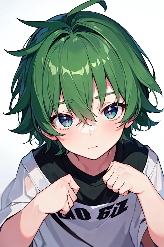 [(WHITE BACKGROUND:1.5),::5], ((((masterpiece)))), high quality, very_high_resolution, large_filesize, full color, (((little boy))), 13 old year, short Green hair, vivid color, Black eye, civilian clothes white, anime,