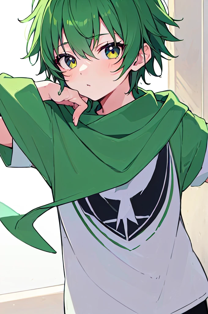 [(WHITE BACKGROUND:1.5),::5], ((((masterpiece)))), high quality, very_high_resolution, large_filesize, full color, (((little boy))), 13 old year, short Green hair, vivid color, Black eye, civilian clothes white, anime,