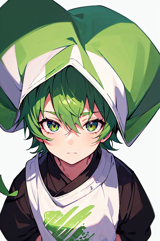 [(WHITE BACKGROUND:1.5),::5], ((((masterpiece)))), high quality, very_high_resolution, large_filesize, full color, (((little boy))), 13 old year, short Green hair, vivid color, Black eye, civilian clothes white, anime,