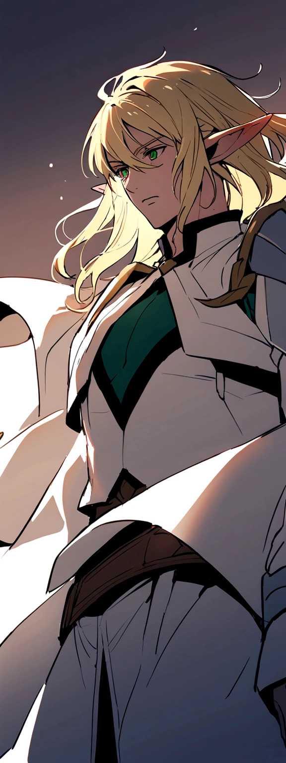 adult man, blond, shorth hair, elf ears, greeneyes, white adventurer outfit