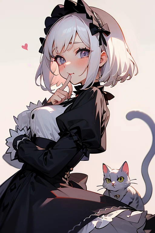 Short white hair, blush, Headbang 2.、cute、Beautiful woman、Idol clothes、Gothic Lolita、background is paris、Gorgeous outfit、(Cat-like mouth)