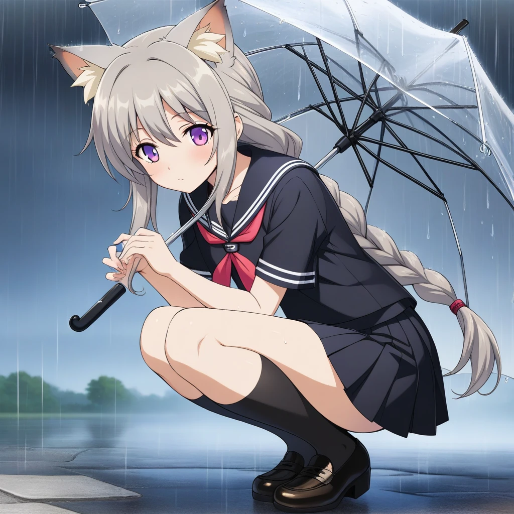 1girl, yaomai, official art, absurdres, 1girl, animal ear fluff, animal ears, black sailor collar, black serafuku, black shirt, black skirt, black socks, blue trim, braid, cat ears, collarbone, full body, grey hair, long hair, miniskirt, outdoors, pleated skirt, purple eyes, rain, sailor collar, sailor shirt, , serafuku, shirt, short sleeves, single braid, single hair intake, skirt, socks, solo, squatting, transparent, transparent umbrella, ((very aesthetic, best quality, ultra detailed))
