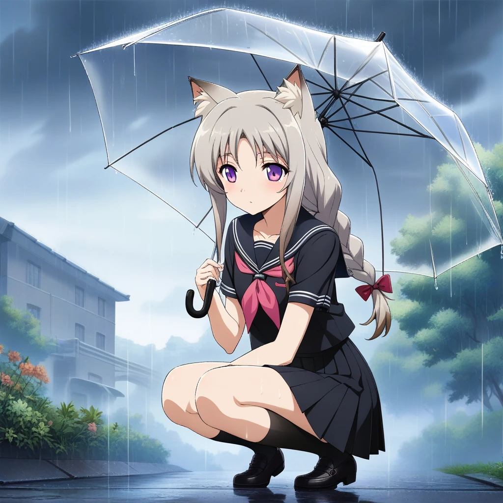 1girl, yaomai, official art, absurdres, 1girl, animal ear fluff, animal ears, black sailor collar, black serafuku, black shirt, black skirt, black socks, blue trim, braid, cat ears, collarbone, full body, grey hair, long hair, miniskirt, outdoors, pleated skirt, purple eyes, rain, sailor collar, sailor shirt, , serafuku, shirt, short sleeves, single braid, single hair intake, skirt, socks, solo, squatting, transparent, transparent umbrella, ((very aesthetic, best quality, ultra detailed))