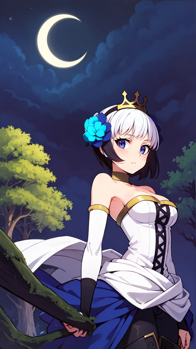 best quality, masterpiece, gwenos, short hair, low feathers, white strapless dress, tiara, detached gauntlets, gold collar, armored thigh boots, hair buns, looking at viewer, OdinSphereStyle, midnight, cloudy sky, crescent moon, forest, moonlight, horizon, nature, outdoors, scenery, starry sky, tree, rotating,