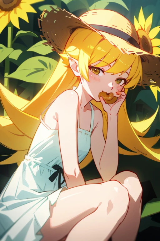 One Girl、woman、blush、cute、Portrait Global Illumination, hdri, Scattered beneath the surface, masterpiece, 4K, Ray Tracing, beautiful, sharp, Smooth Skin,Simple Background、White background、Anime Painting、blonde hair、long hair、White dress、oshino shinobu、, pointy ears, Eating a donut、Straw hat、sit、Attractive thighs、summer、sunflower