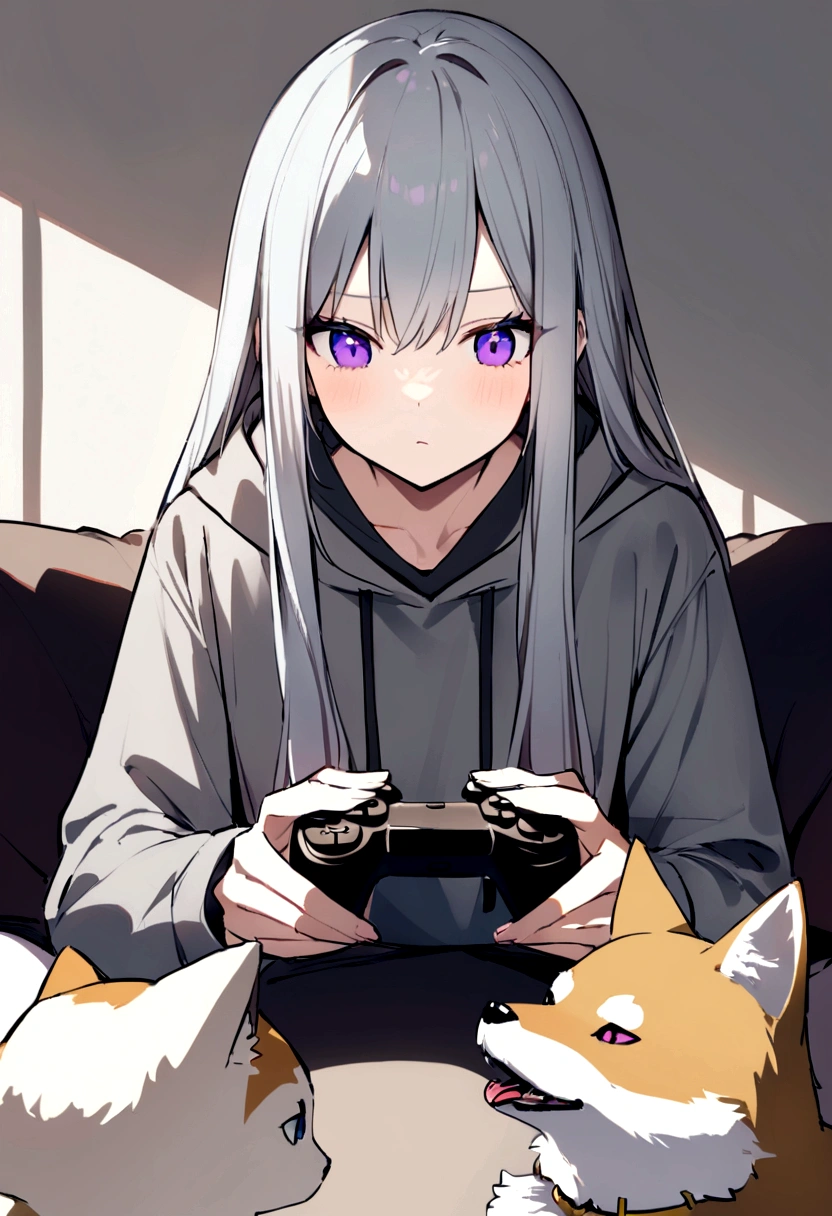 Wolf Hair、Purple Eyes、Long eyeliner、I like Shiba Inu, Cat, Have a game controller.、He is wearing a gray hoodie and a gray hat..long hair of white color,。