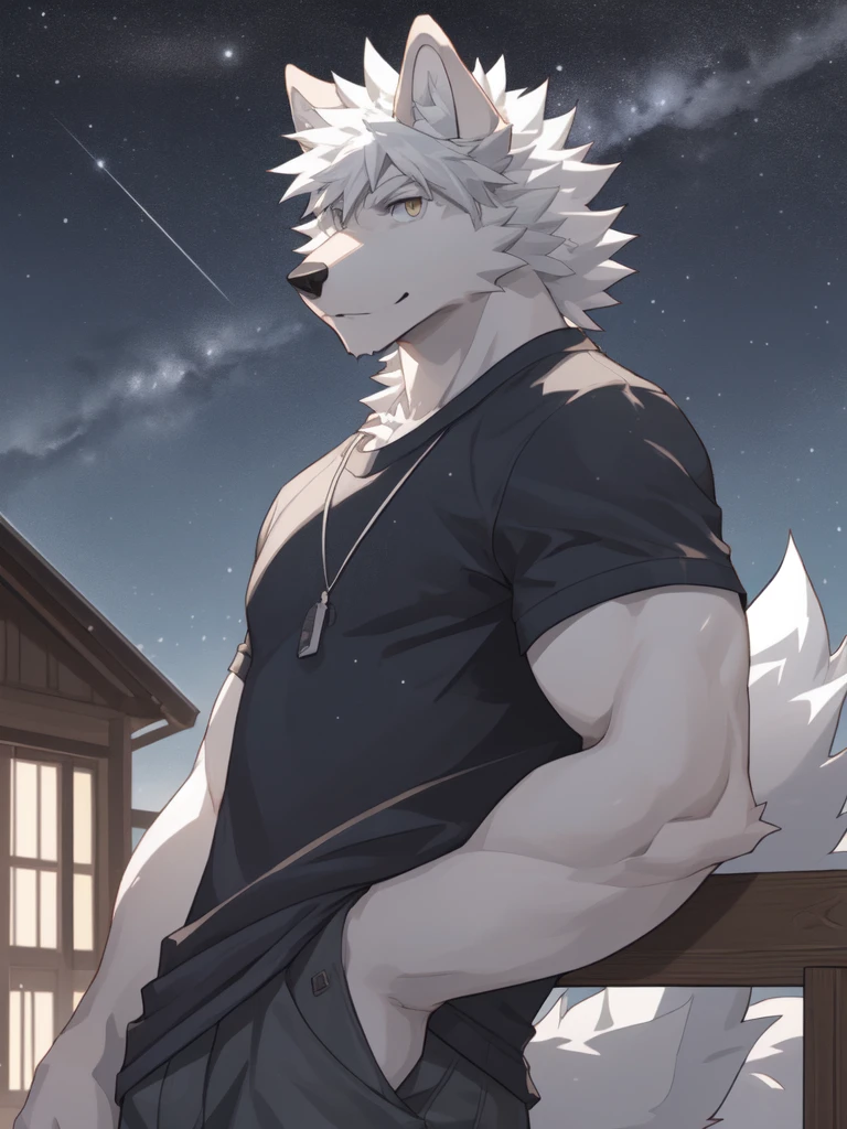 White Wolf,Adult male,Casual wear,White fur,short hair,Messy hair,Starry Sky,detailed,best quality