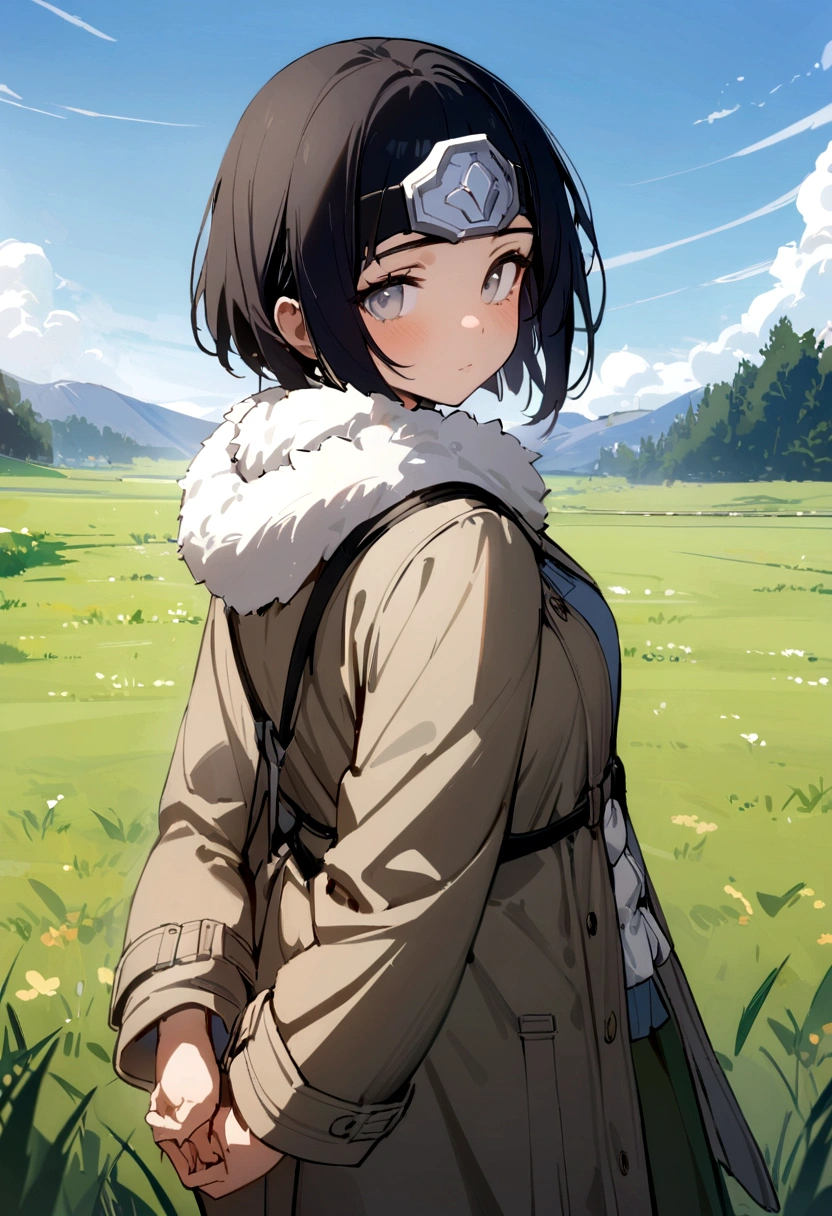 masterpiece, Best quality, 1 girl, Hyuga Hinata, black hair, short hair, white eyes, no students, coat, Forehead Protection, fur trim, Konohagakure symbol, long sleeves, hands behind your back, upper body, One, Looking at the viewer, grass, blue sky, Meadow background