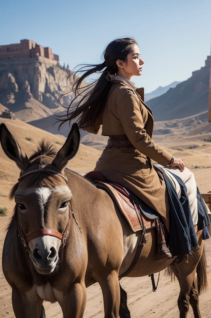 riding on an old donkey,profile pic,northeastern background