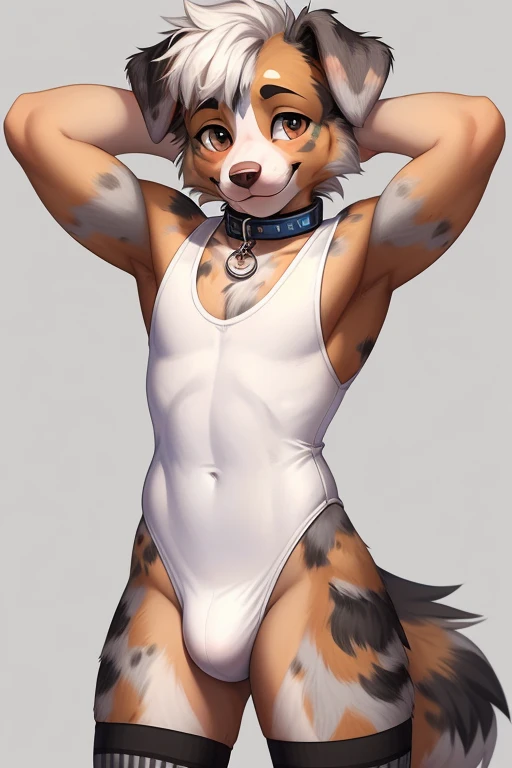 ((SFW)) ((18 year old, short, cute, furry, Australian Shepherd dog boy femboy wearing a white sleeveless leotard with a bulge, a collar, and light gray thigh-high socks, best quality)) ((hands behind head))
