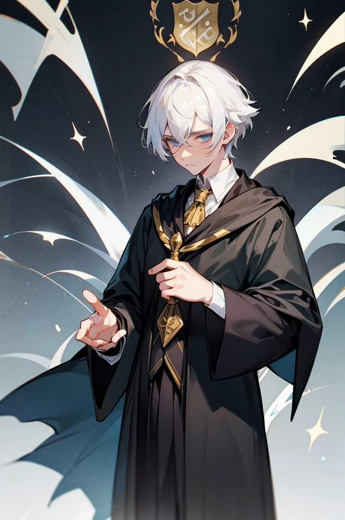 Handsome young man with magic from Hogwarts School of Magic, white hair, lives in Hufflepuff House.