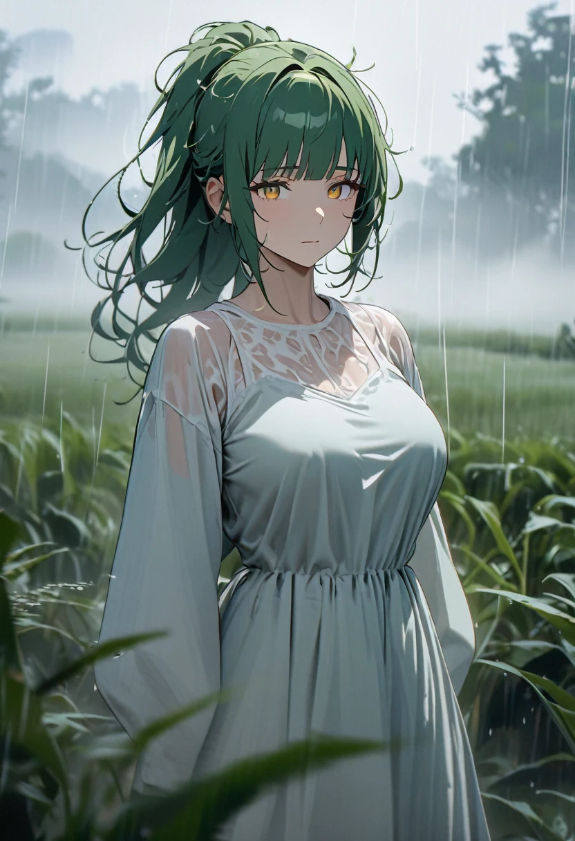 Mature woman, perfect anatomic draw, perfect eyes, long green hair, yellow eyes, serene face, messy hair, straight bangs down, ponytail in the hair, breasts, white puff dress, foggy, in the field, raining, 8k, high quality, full HD.